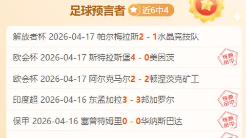 足协裁决：新鹏城两上诉被驳回及一漏判点球争议